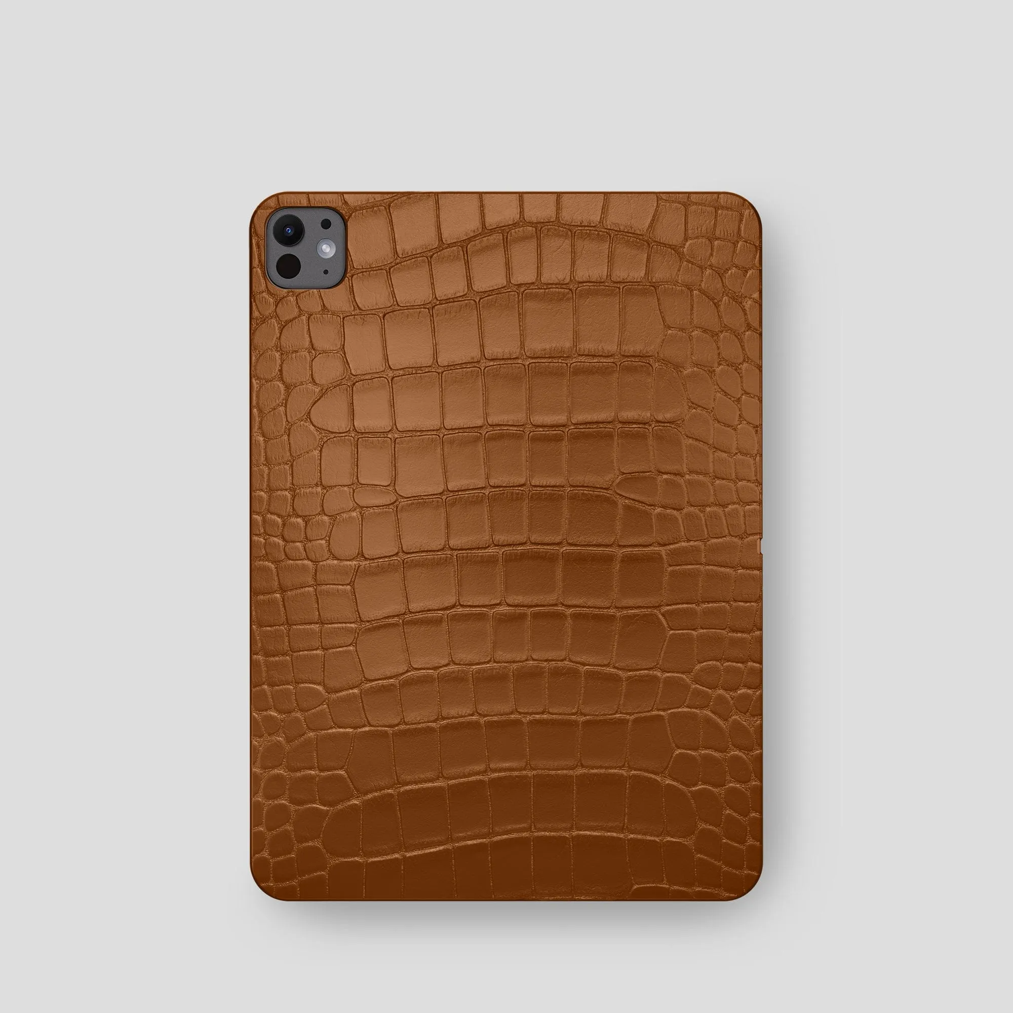 Case For iPad Pro 11-inch (5th gen) In Alligator