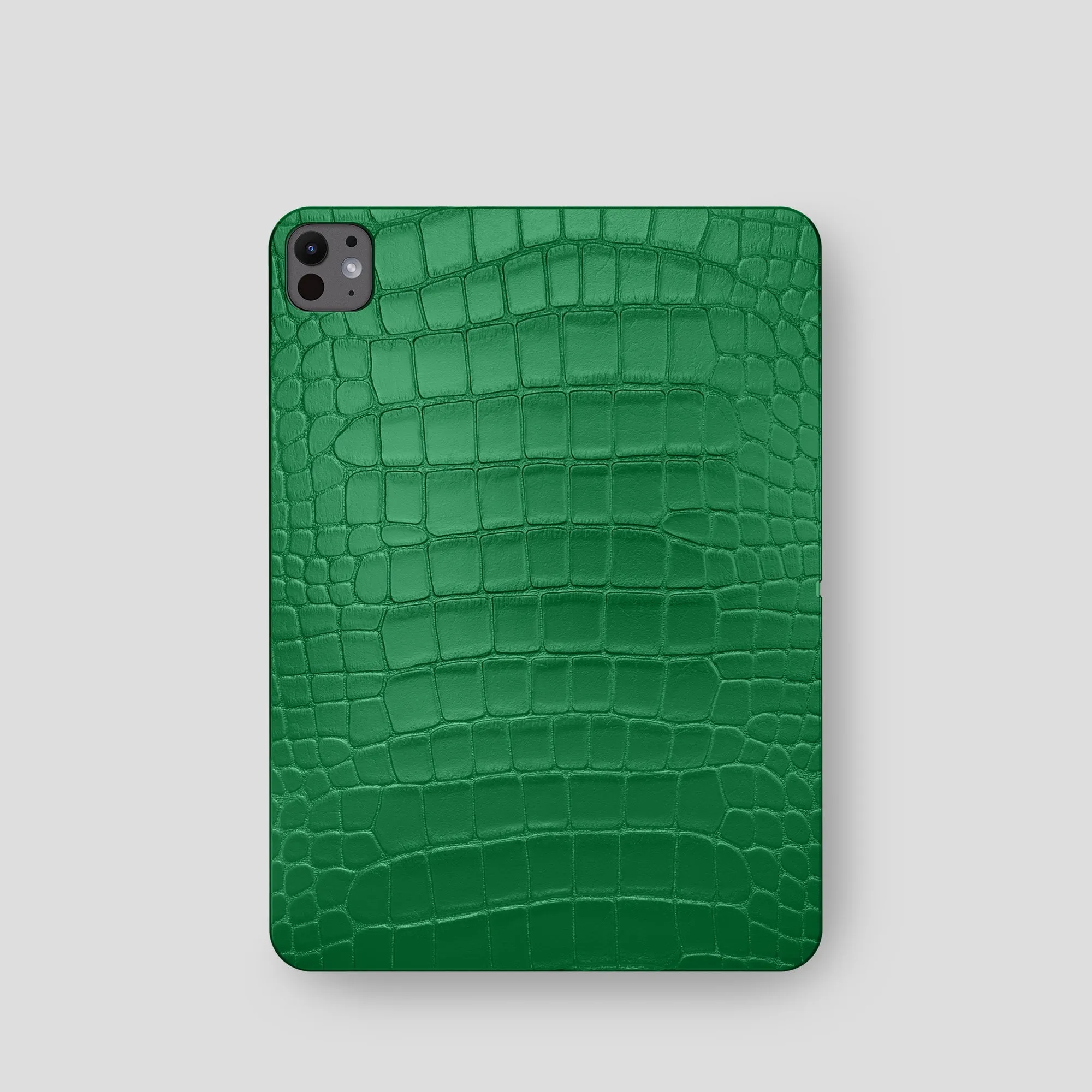 Case For iPad Pro 11-inch (5th gen) In Alligator