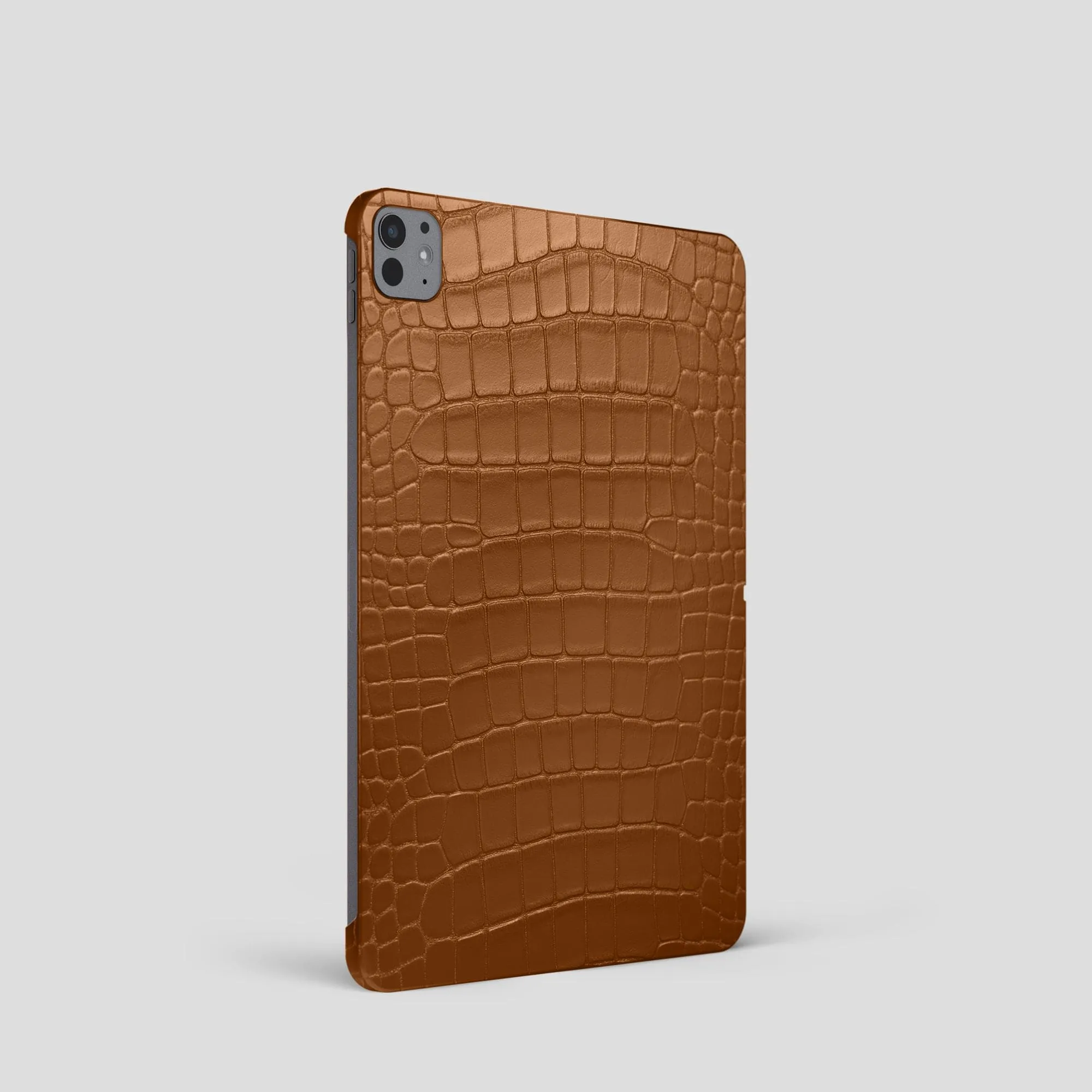 Case For iPad Pro 11-inch (5th gen) In Alligator