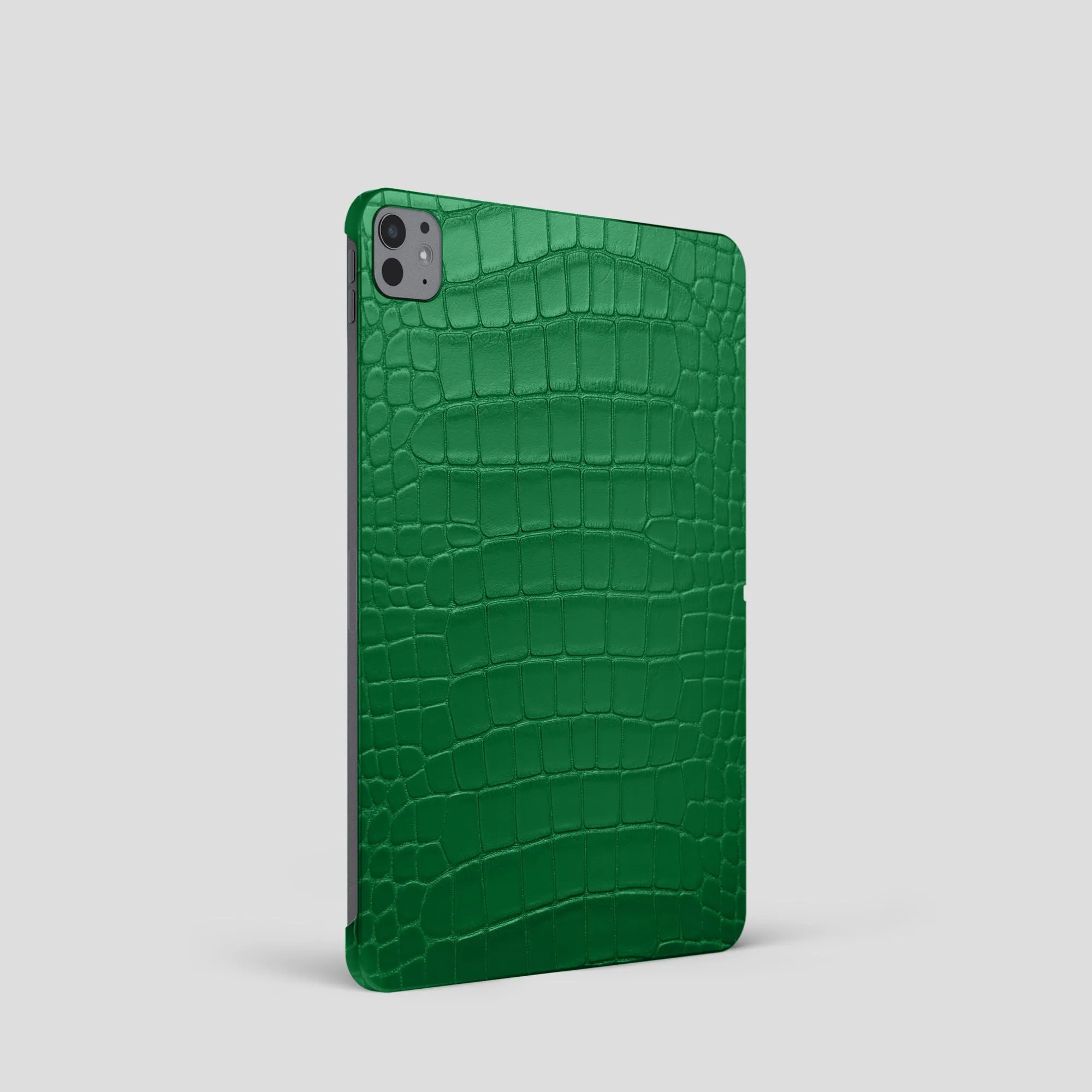 Case For iPad Pro 11-inch (5th gen) In Alligator