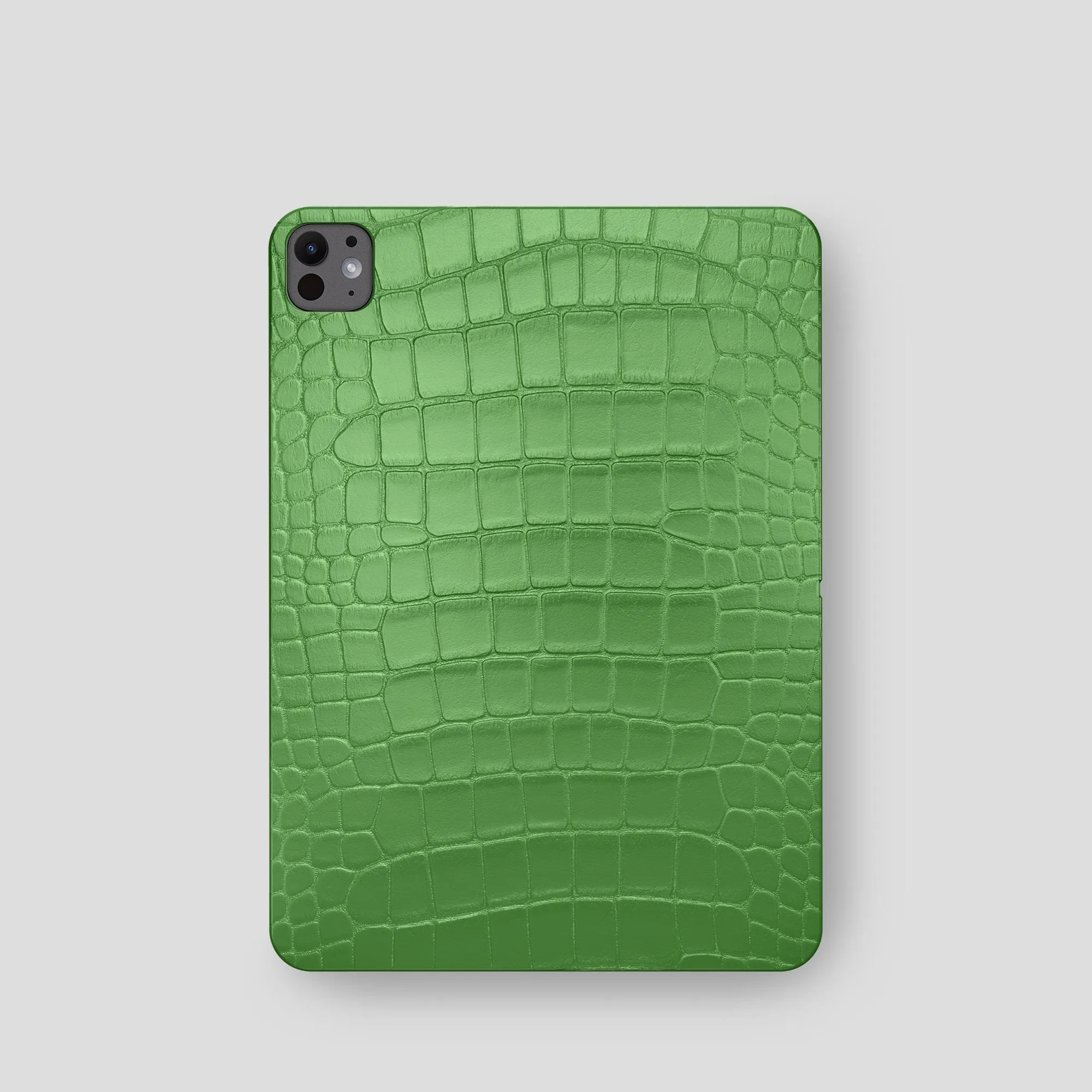 Case For iPad Pro 11-inch (5th gen) In Alligator