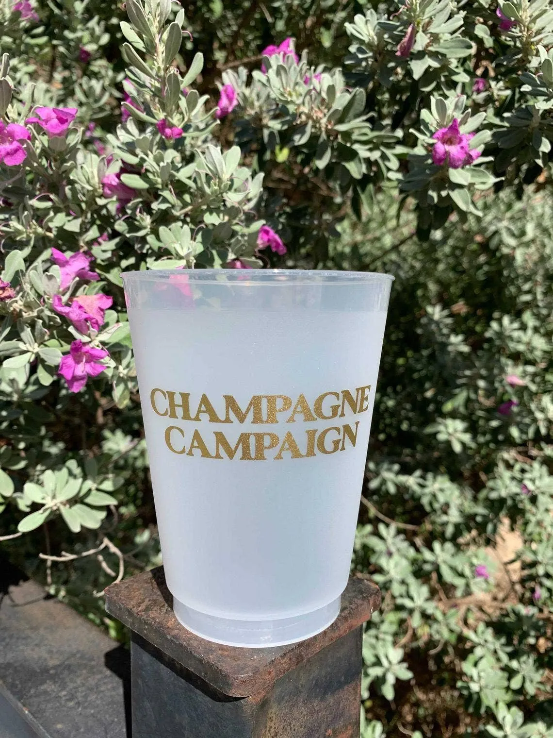 Champagne Papi Cups