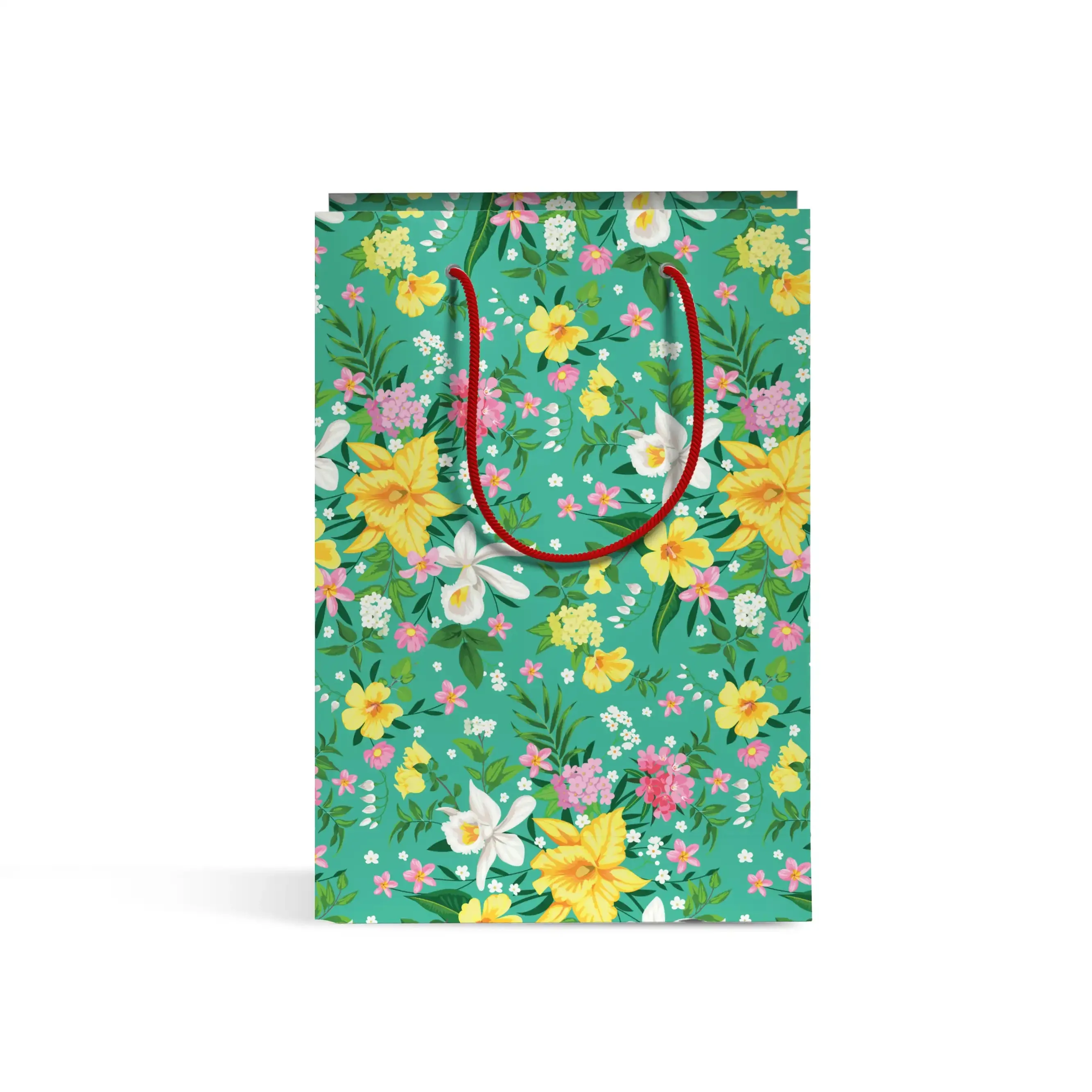 Gift bag (28.5x46)