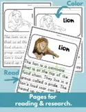 Lion Read Write Color