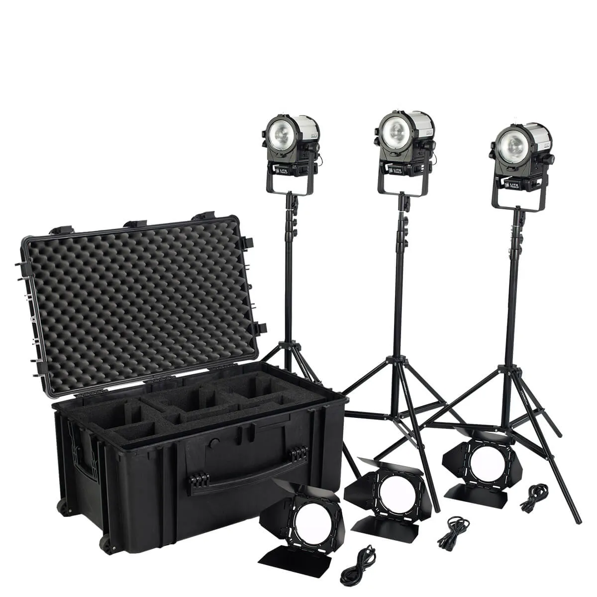 Litepanels Sola 4  Daylight Fresnel Traveler Kit w/ Barndoor, stands, Trolley Case Litepanels