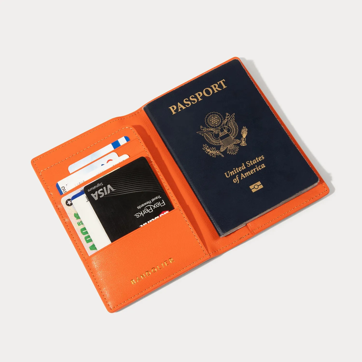 Passport Holder - Tan/Gold