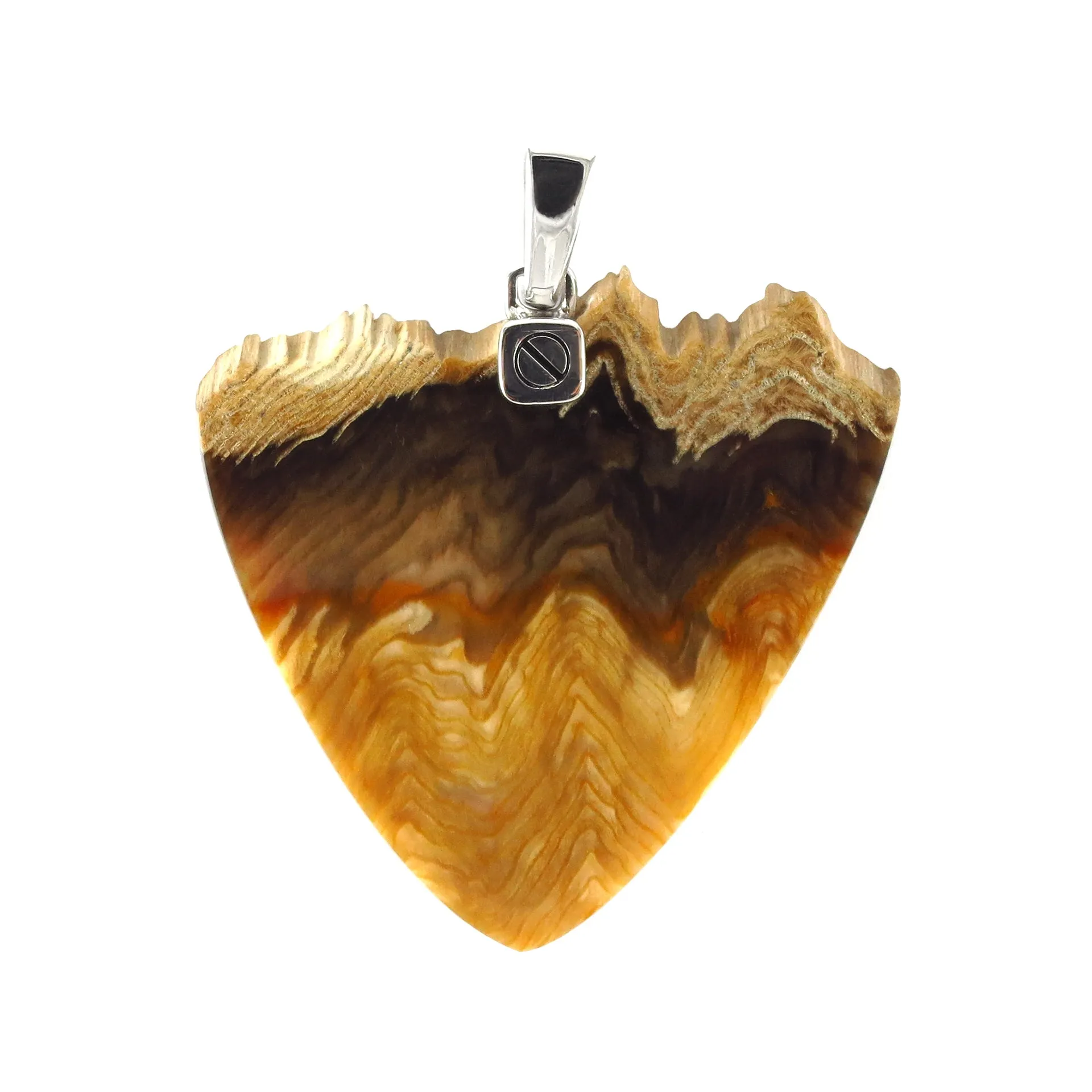 Petrified Wood Fossil One-of-a-Kind Pendant Sterling Silver Necklace I Jan Leslie