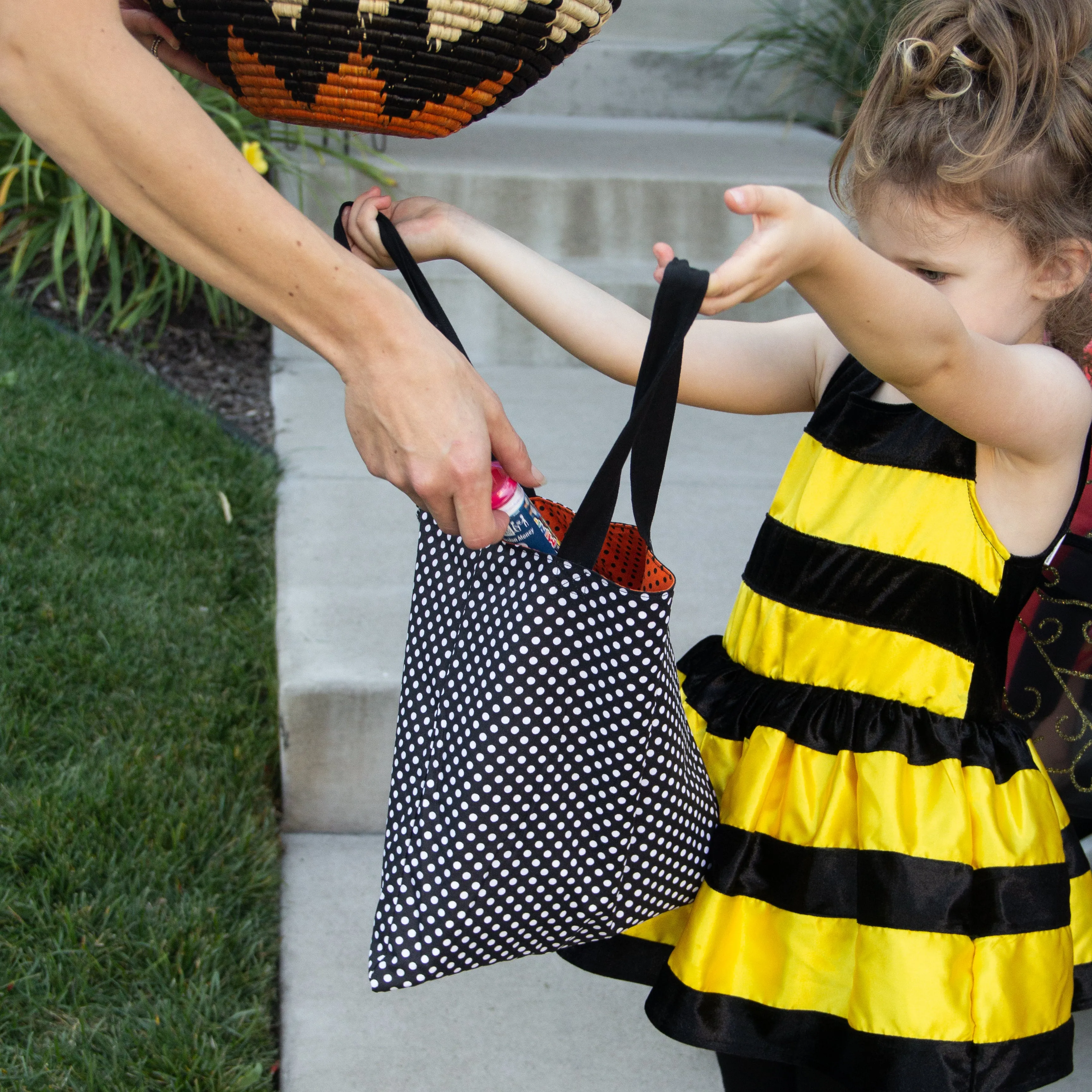 Reversible Trick-or-Treat Bag