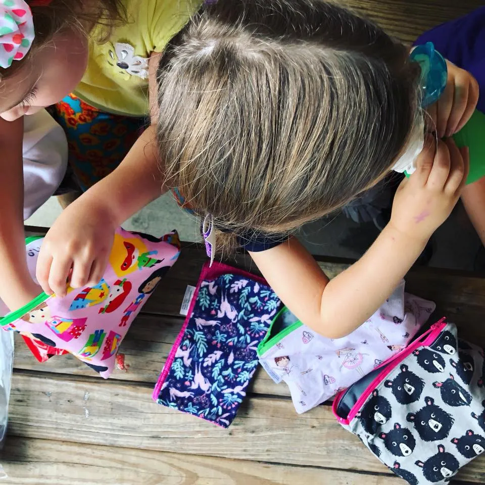 Sandwich Sized Reusable Zippered Bag Trains