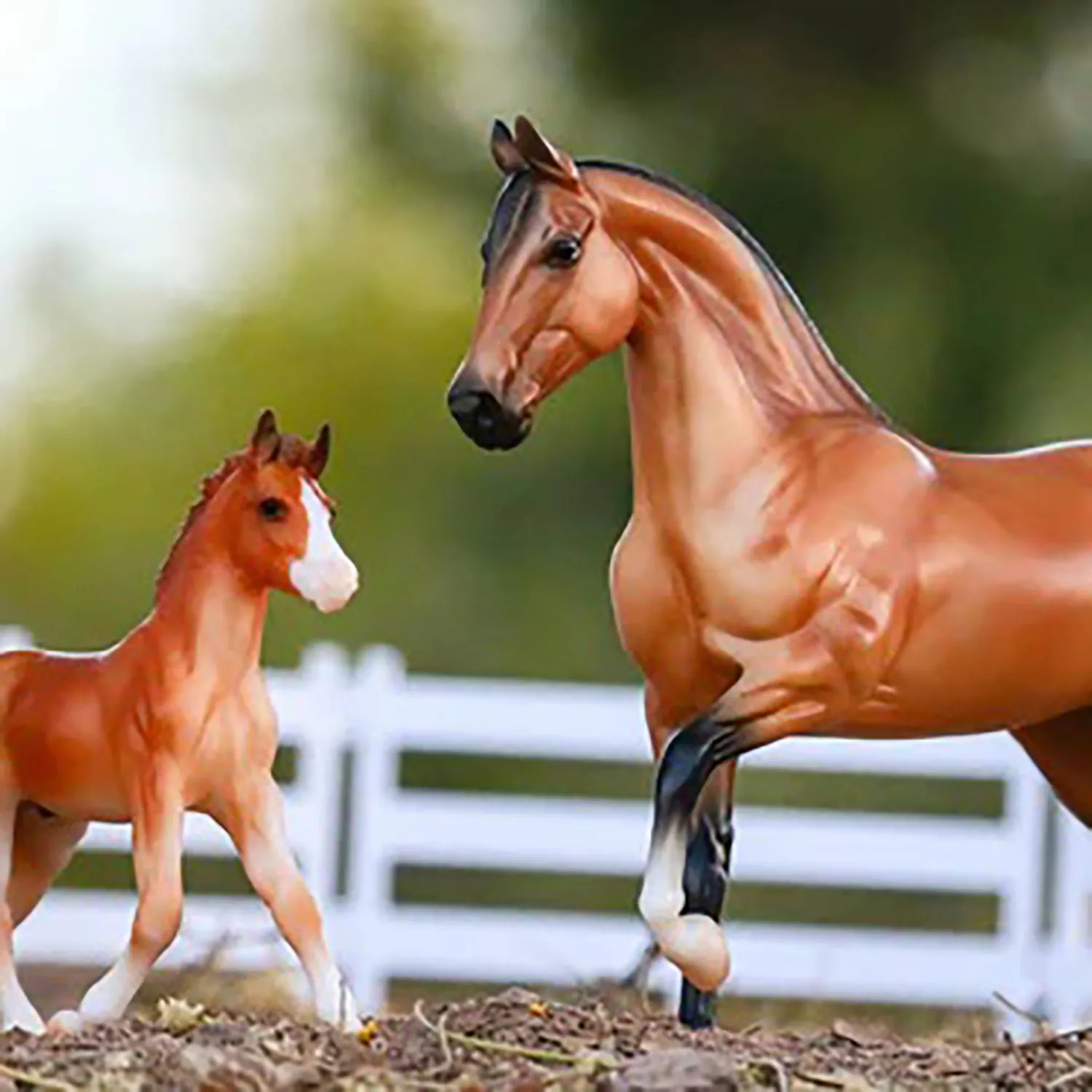 Spanish Mustang Family 5490