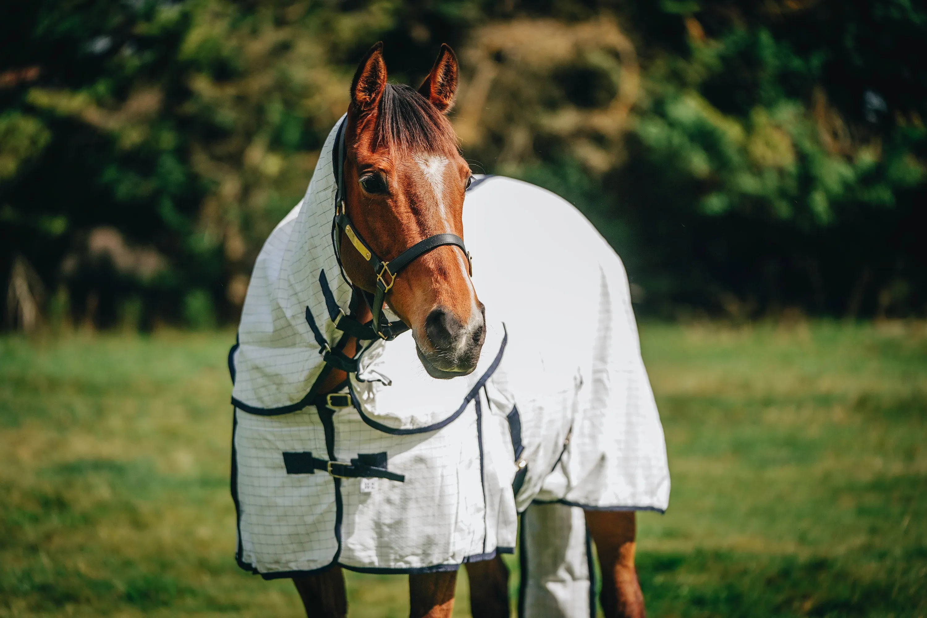 Summer Detachable with Tail Bag