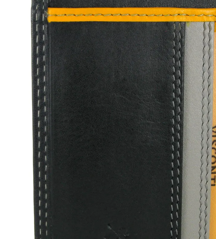 Visconti Rainbow Passport Holder RB75 Black Multi